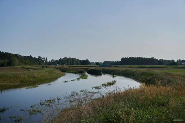 slajd 75.jpg